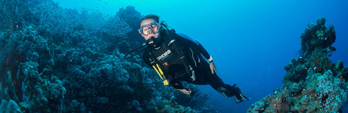 Cressi Gear Vietnam Online Scuba Watersports Shop Cressi Scuba Diver